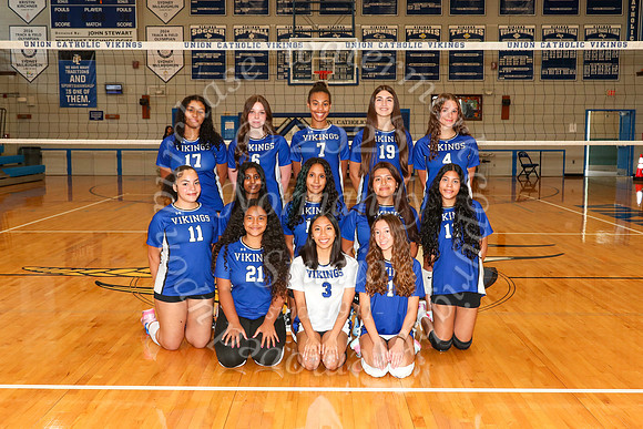 UCH_vb-g-jv-t_1