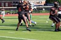 SVL_fb_018