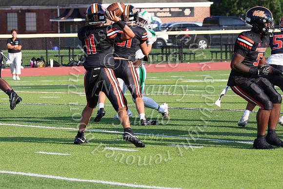 SVL_fb_018
