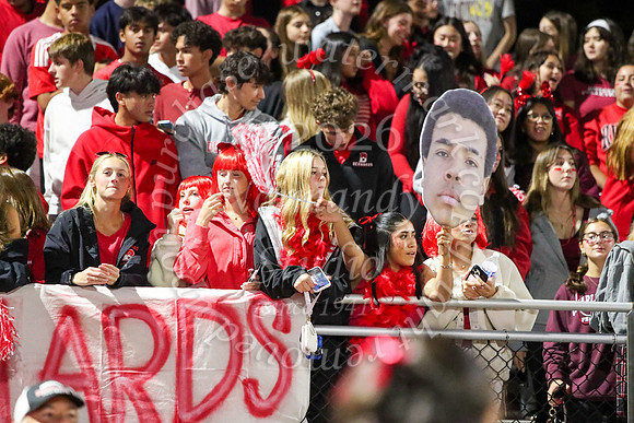 BER_fans_25