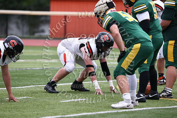 SVL_fb_jv-29