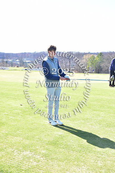 SHP_go_46