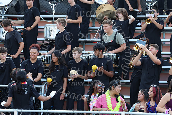 SVL_mb_in_stands_47