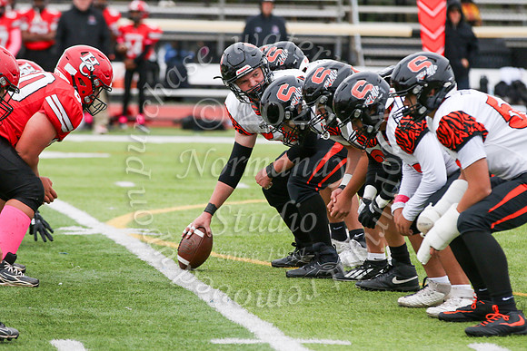 SVL_fb-f_10