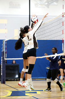 WTG_vb_g_14