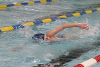 WMC_015_sw-g