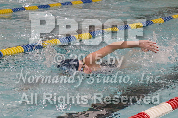 WMC_015_sw-g
