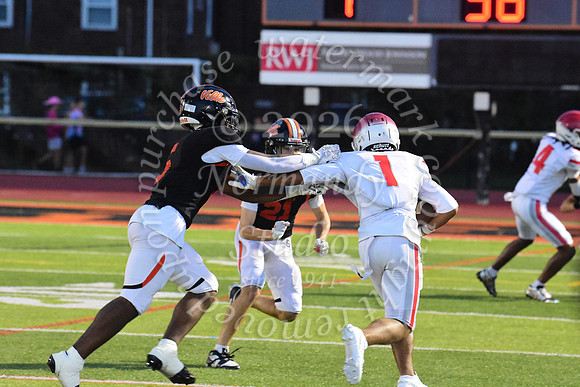 SVL_fb_29