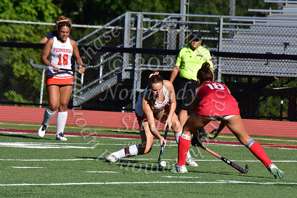 SVL_fh_42