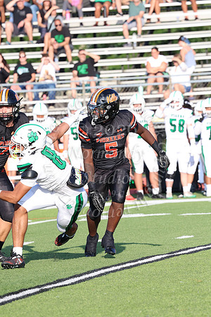 SVL_fb_022