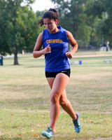 CHS_15_cc-g