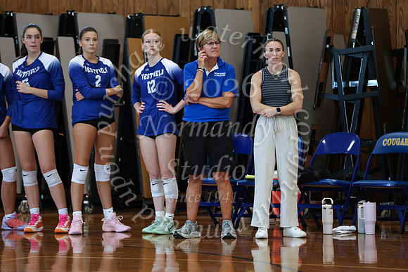 WHS_vb_g_-11