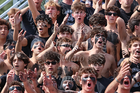 SHP_fans_22