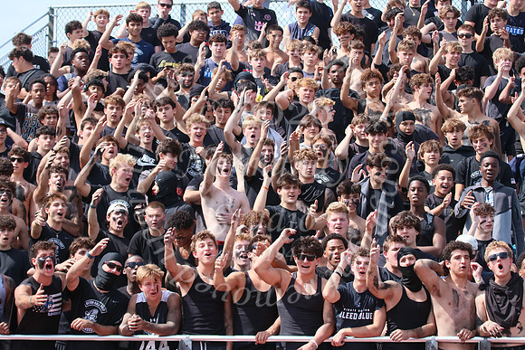 SHP_fans_29