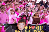 DVH_fans_05