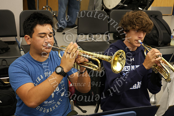 WMC_slc_033
