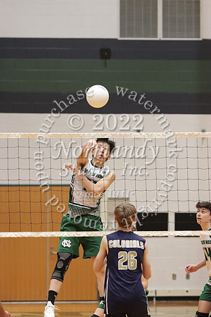 CNH_vb-b_31