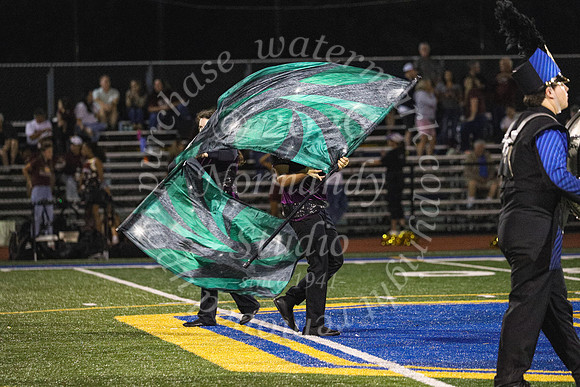 CHS_mb_120