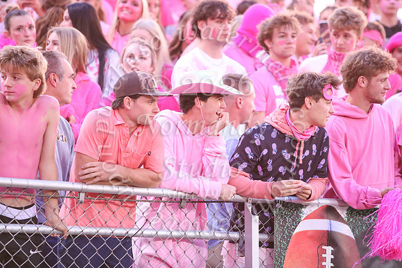 DVH_fans_39