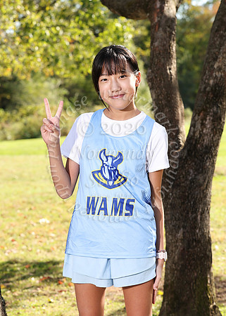 WAM_cc_g_ind-1