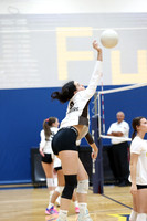 WTG_vb_g_1