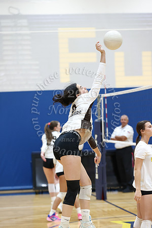WTG_vb_g_1