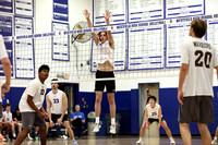 WHS_vb_b_v_17