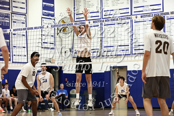 WHS_vb_b_v_17