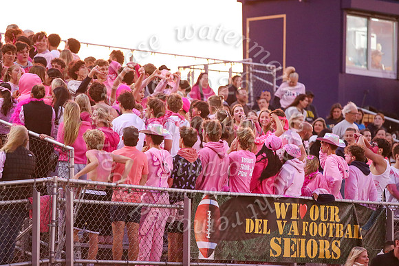 DVH_fans_32