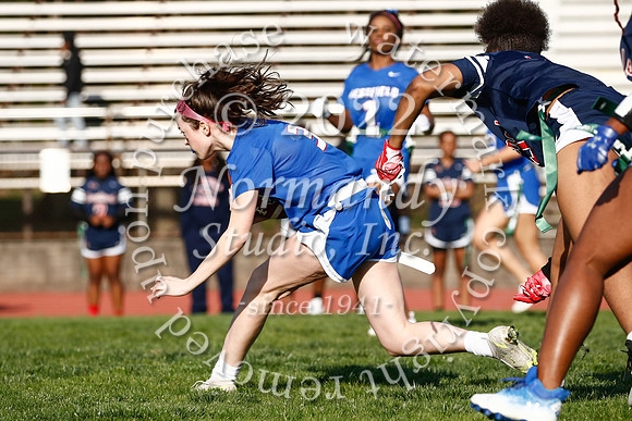 WHS_flag_fb_60