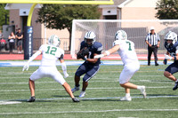 SHP_fb-v_17