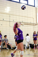 TOT_vb_g_-4
