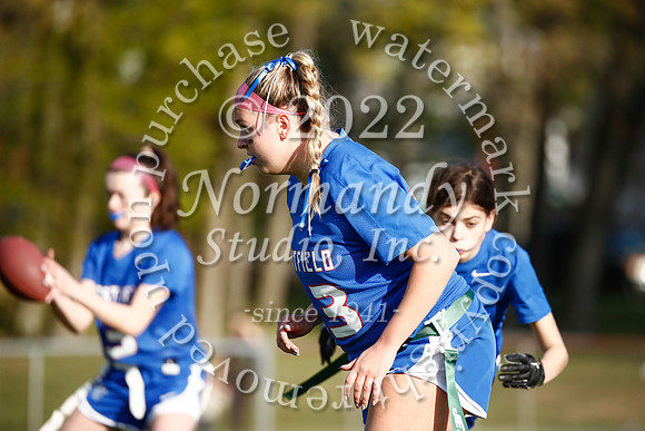 WHS_flag_fb_70