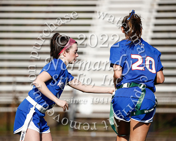 WHS_flag_fb_11