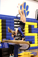 WHS_gy_12