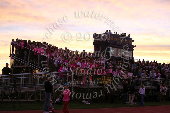DVH_fans_36