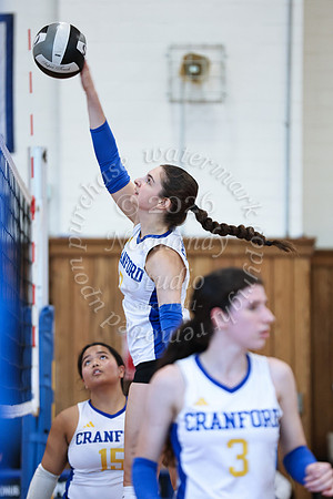 CHS_vb_g_-41