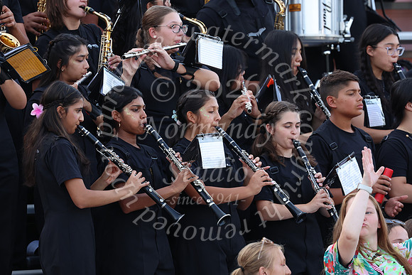 SVL_mb_in_stands_31