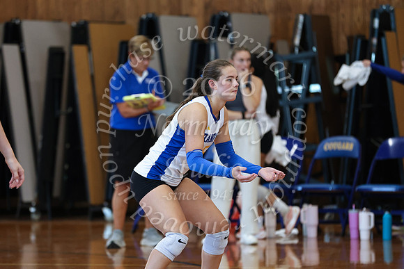 CHS_vb_g_-25