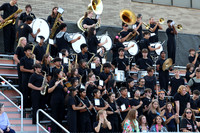 SVL_mb_in_stands_18