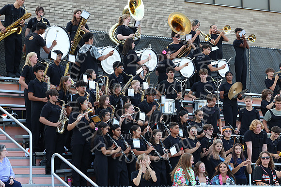 SVL_mb_in_stands_18