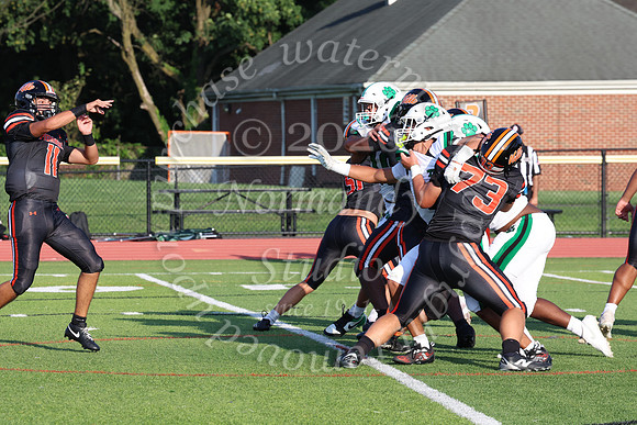 SVL_fb_045