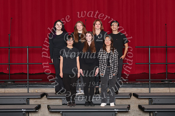 CHS_gala_groups_29