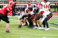 SVL_fb-f_02