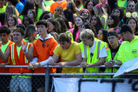 HCH_fans_18