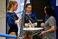 WHS_gy_11