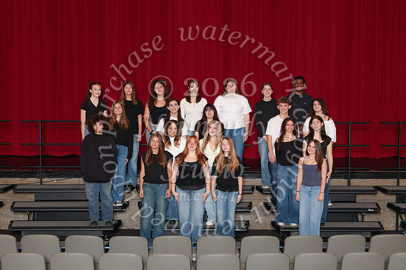 CHS_gala_groups_40