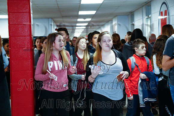 MNP_006_slc