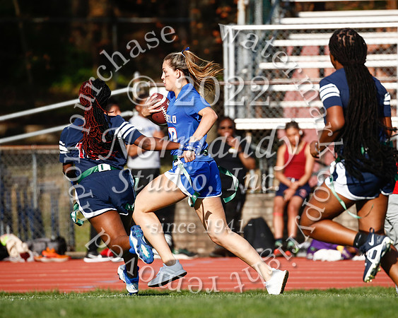 WHS_flag_fb_36