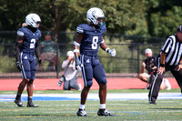 SHP_fb-v_11